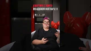 Квартиры с Авито из адского котла  ч.11