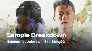 Sample Breakdown: Nujabes ft. Shing02 - Luv(sic) pt. 1-3