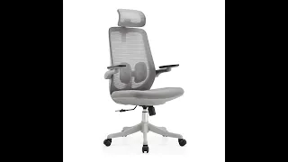 RedOAK® WINNY Premium Ergonomic Chair with Flip-Up Arms