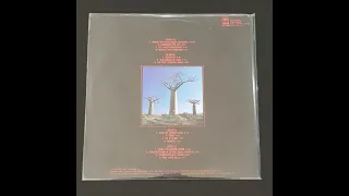 Money - Pink Floyd - Delicate Sound Of Thunder  vinyl LP album (LP record)