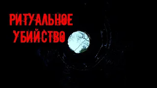 Загадочная смерть красноярских школьников