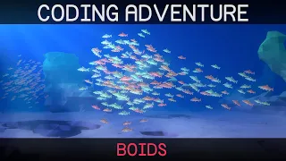 Coding Adventure: Boids