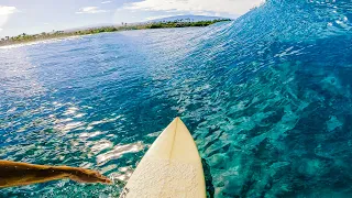 Surfing an EMPTY Reef Break | Shallow Little Glassy Waves | RAW POV