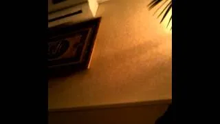 VID_20130830_234029.3gp