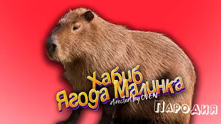 ПЕСНЯ про КАПИБАРУ клип ХАБИБ - Ягода Малинка ПАРОДИЯ на КАПИБАРА МЕМ / CAPYBARA