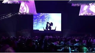 APEC's welcome dinner cultural performances
