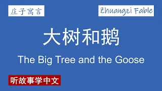 【庄子寓言】大树和鹅 The Big Tree and the Goose【Zhuangzi Fable】