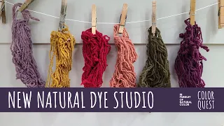 WELCOME TO MY NEW NATURAL DYE STUDIO | ORGANIC COLOR | HOUSE MOVE | STUDIO TOUR | KITCHEN GARDEN