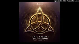 Sonic Species & Divination - Liquid Connective (Orginal Mix)