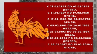 🐉Гороскоп на 2024 год для рожденных в год ПЕТУХА, 1957, 1969, 1981, 1993, 2005 годов рождения