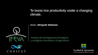 To boost rice productivity under a changing climate. Hiroyuki Shimono