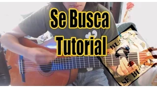 se busca guitarra instrumental tutorial Doogy Degli Armonium Wanted #72