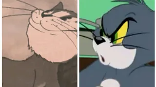 Evolución del gato  Tom de Tom y Jerry , desde 1940 hasta hoy en día