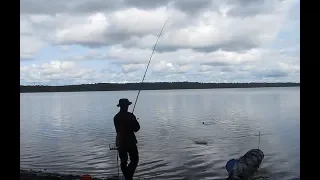 Рыбалка на Лемболовском озере 2019. Рыбалка в Лемболово. Лещ на фидер? Фидер для начинающих.