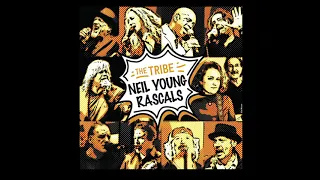 THE TRIBE 09 ROCKIN' IN THE FREE WORLD 1989 Neil Young   John Pratt  Eq 1 2496 YouTube