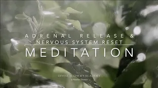 ADRENAL RELEASE & NERVOUS SYSTEM RESET MEDITATION