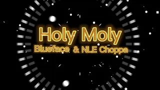 Blueface - Holy Moly ft. NLE Choppa (Clean - Lyrics)