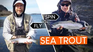 Fly vs spin fishing for SEA TROUT