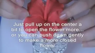 How to Make a Gumpaste Hibiscus Part 2