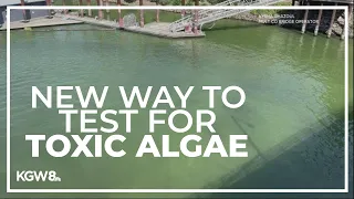 OSU study finds new way to test for toxic algae