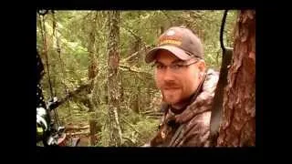 Archery Black Bear Perfect Impact Shot in Ontario Canada from Mathews bow A-1 Archery