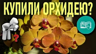 КУПИЛИ ОРХИДЕЮ? СЛЕДУЙТЕ ИНСТРУКЦИИ!🌞 ДЛЯ НОВИЧКОВ! КАК ВОССТАНОВИТЬ ТУРГОР ЛИСТЬЕВ ОРХИДЕИ ЗА ДЕНЬ!