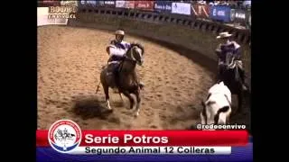 SERIE POTROS CAMPEONATO NACIONAL 2014