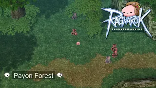 Payon Forest - Nano East 1 Hour (Ragnarok Online Music & Ambience)