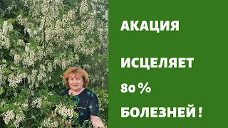 Акация -ваше Самоисцеление от 80 % женских и мужских болезней !