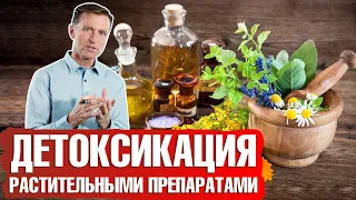 Детоксикация организма: какие растительные препараты помогут? 📣