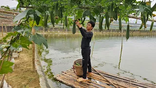 Orphan Boy - Picking luffa to sell, Building a farm to raise pigs, chickens, and ducks