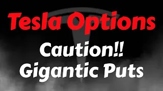 Tesla Stock Options Analysis | Caution - Massive Puts | Tesla Stock Price Prediction