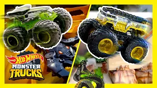 SNAKES, & SCORPIONS: ULTIMATE MONSTER TRUCKS TOURNAMENT! | Monster Trucks | @HotWheels