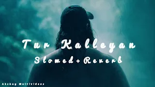 Tur Kalleyan(Slowed+Reverb)||Arijit Singh New Slowed and Reverb Song| Akshay Multivideos