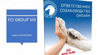 Особенности судейства десяти групп пород FCI Группа VIII | «Ответственное собаководство онлайн»