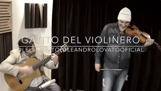 GATITO DEL VIOLINERO