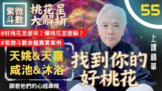 【上課精華】你的《桃花星》大解析！找到你的好桃花！『天姚＆天喜』『咸池＆沐浴』好桃花怎麼來？爛桃花怎麼躲？紫微斗數命盤真實案例說明！上課精華完整版請至會員區觀賞－顯君他們的心經車隊【CC字幕】