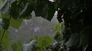 Regengeräusche zum Einschlafen (60 Minuten) Naturgeräusche zum Entspannen, Schlafen & Stress abbauen