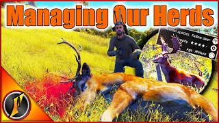 Managing Our Herds for Future Transylvania Trophies! | Way of the Hunter