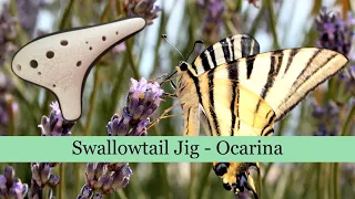 Swallowtail Jig - Ocarina