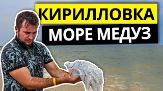 Кирилловка 2023. Медузы есть! Бирючий остров. Море, пляж, жилье. Отдых в Кирилловке