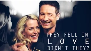 gillian & david | they fell in love, didn't they? (for kimmy)