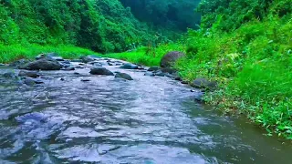 Beautiful Nature River flowing in Indonesia 4k Calming River Sounds, Natural atmosphere for Sleeping