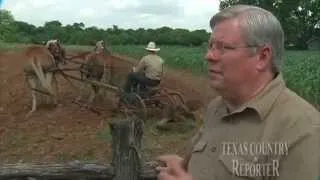 Homestead Heritage Village (Texas Country Reporter)