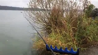 Осенний фидер/ Рыбалка в сильный дождь