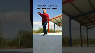 Βασικές τεχνικές TAEGEUK SA JANG