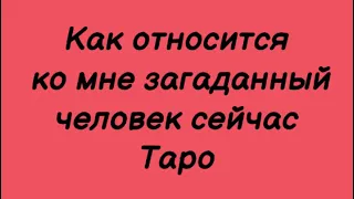 Как относится ко мне загаданный человек сегодня. Таро Расклад