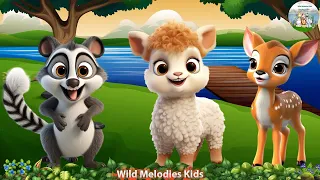 Lovely Animal Sounds: Sheep, Raccoon, Sika Deer - Animal Videos