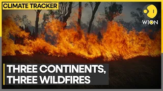 Weekend wildfires across three continents | WION Climate Tracker