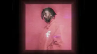 Playboi Carti - Red Beam [Extended version remix] prod. Adronitis